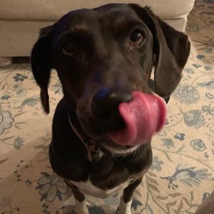 Meet your Posher, Brianna